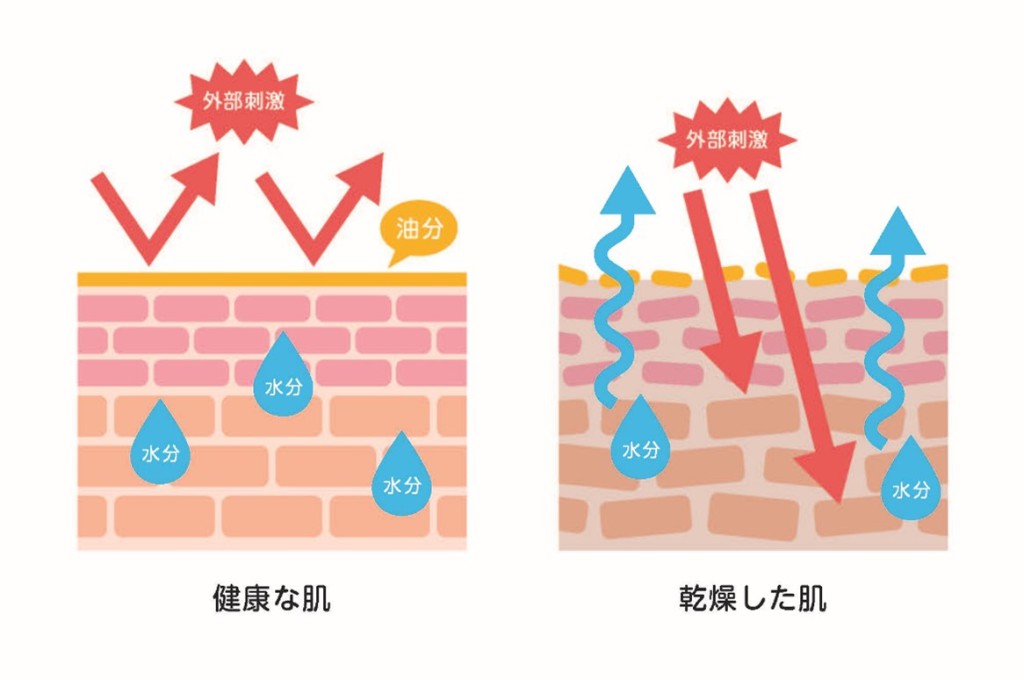 医師監修 乾燥肌が辛い トラブルを引き起こす原因と対策方法は 健栄生活