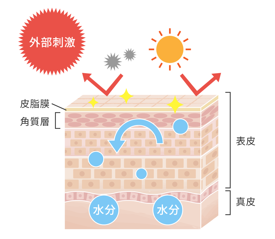 医師監修 乾燥肌はどうして白い粉を吹く 粉吹き顔になる原因と対策 乾燥肌治療薬ヒルマイルド 健栄製薬